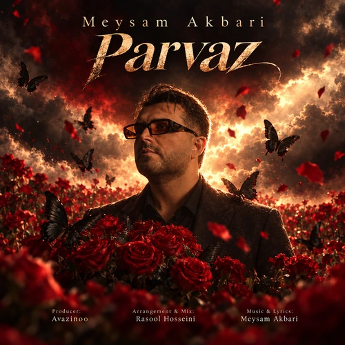 Parvaz Meysam Akbari
